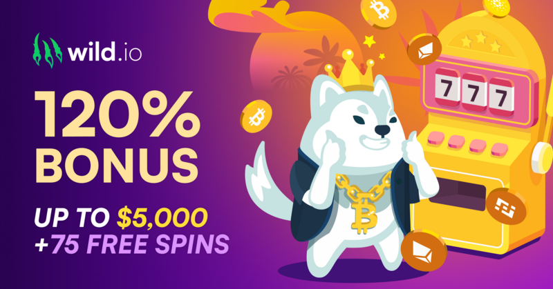 Wild Casino logo